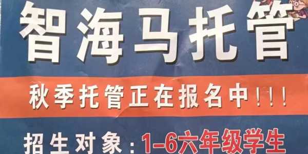 郸城智海马托管:招募1-6年级学生【午托+日托+晚托】